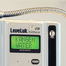 large panel LeveLuk SD501 platinum machine in Pakistan